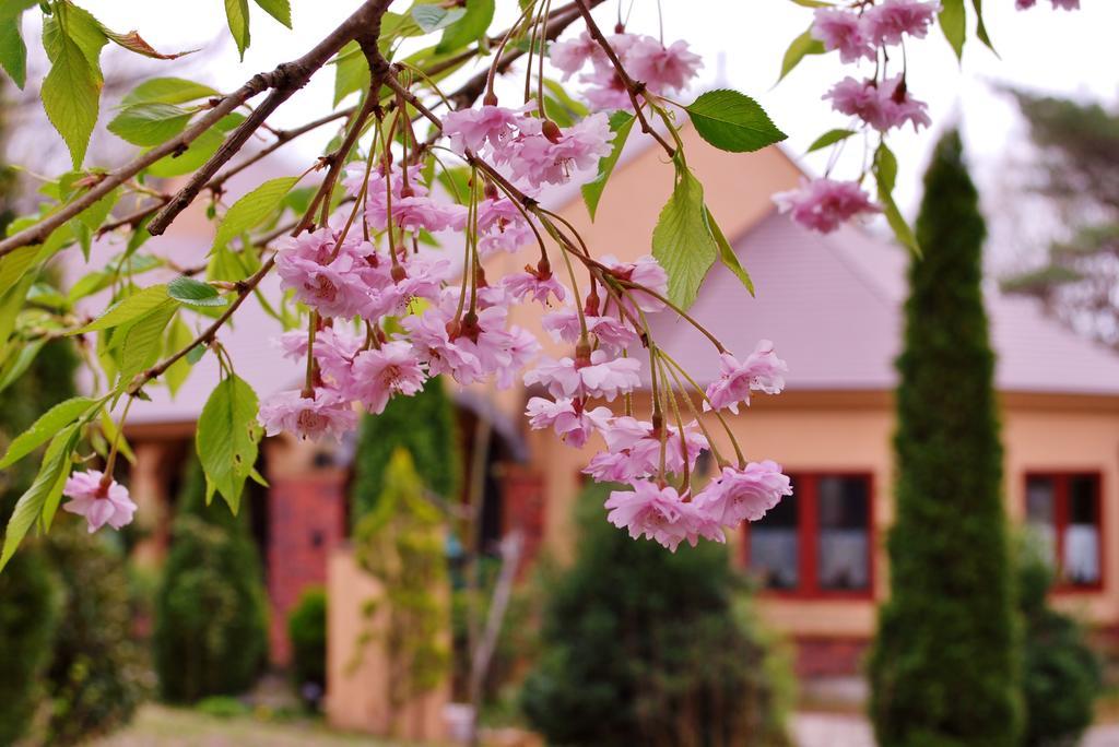 Aromatic Garden Villa La Poltrona Nasu Exteriér fotografie