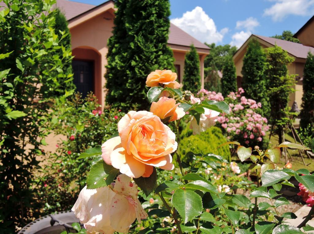 Aromatic Garden Villa La Poltrona Nasu Exteriér fotografie