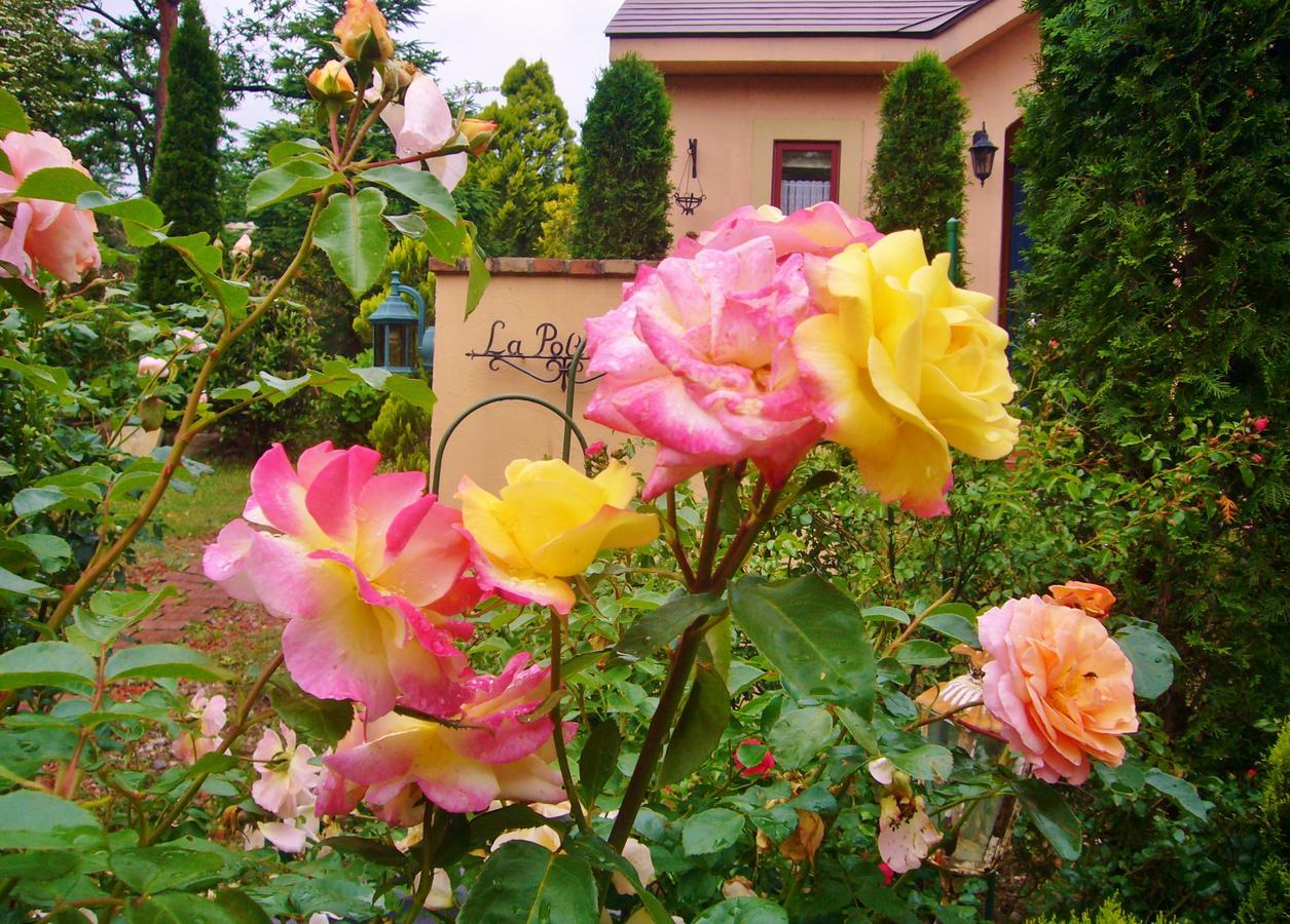 Aromatic Garden Villa La Poltrona Nasu Exteriér fotografie