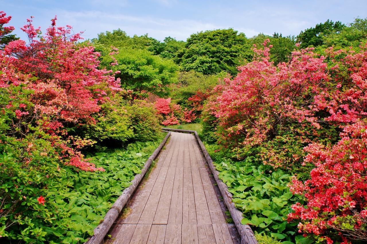 Aromatic Garden Villa La Poltrona Nasu Exteriér fotografie