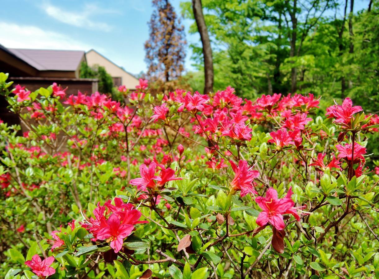 Aromatic Garden Villa La Poltrona Nasu Exteriér fotografie