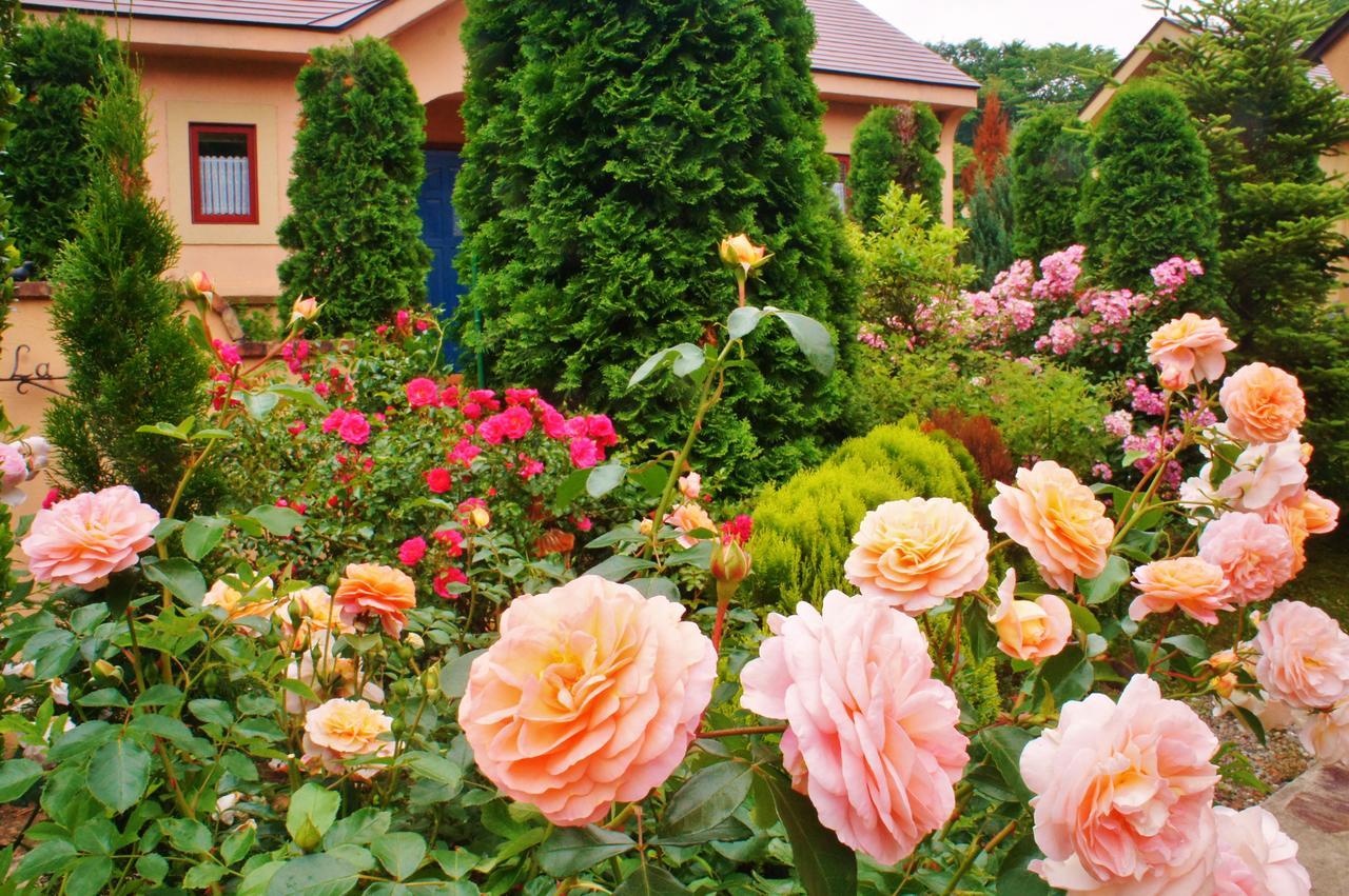 Aromatic Garden Villa La Poltrona Nasu Exteriér fotografie